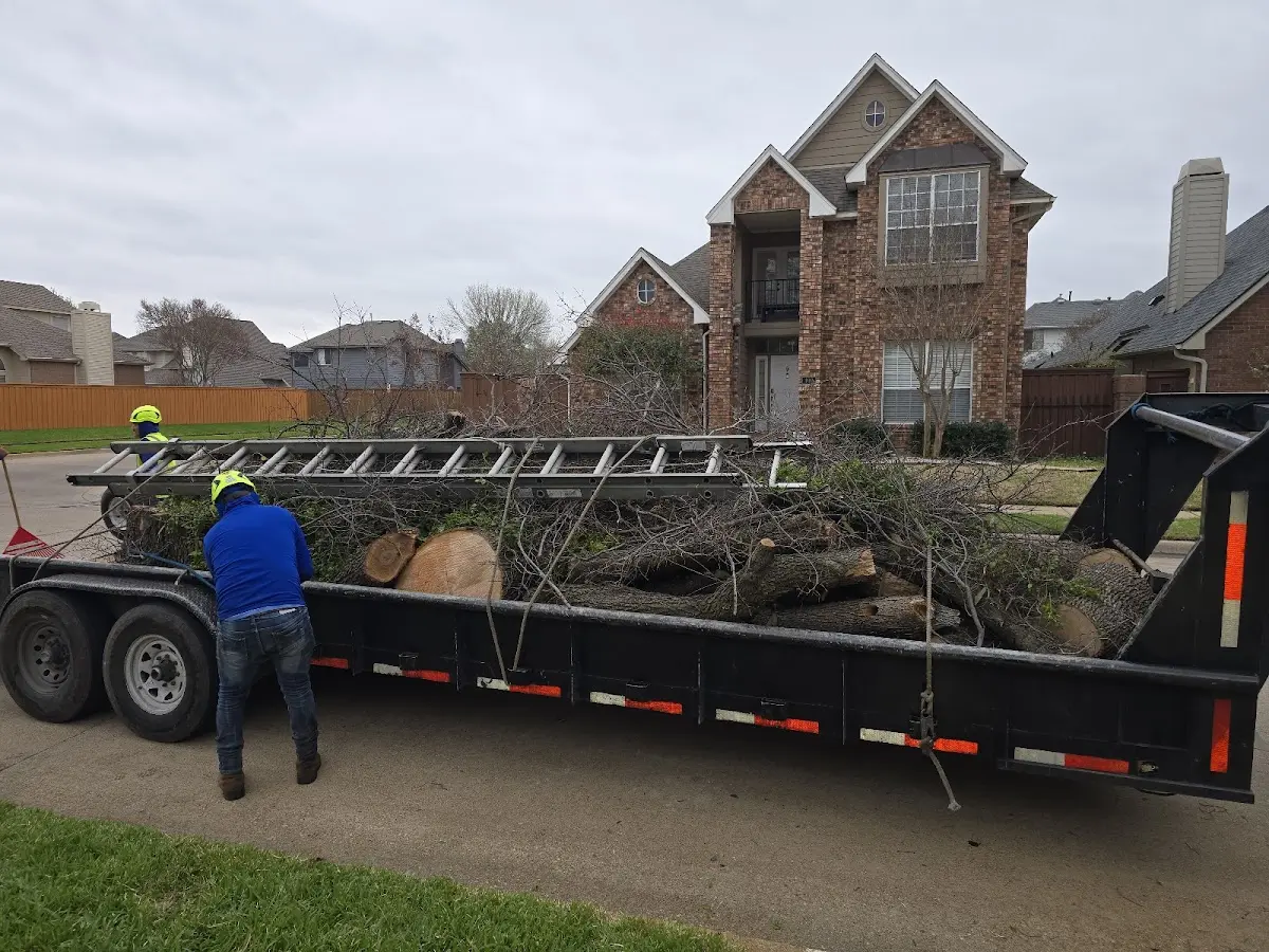 Expert Lot Clearing with proper safety equipment in Wagram
